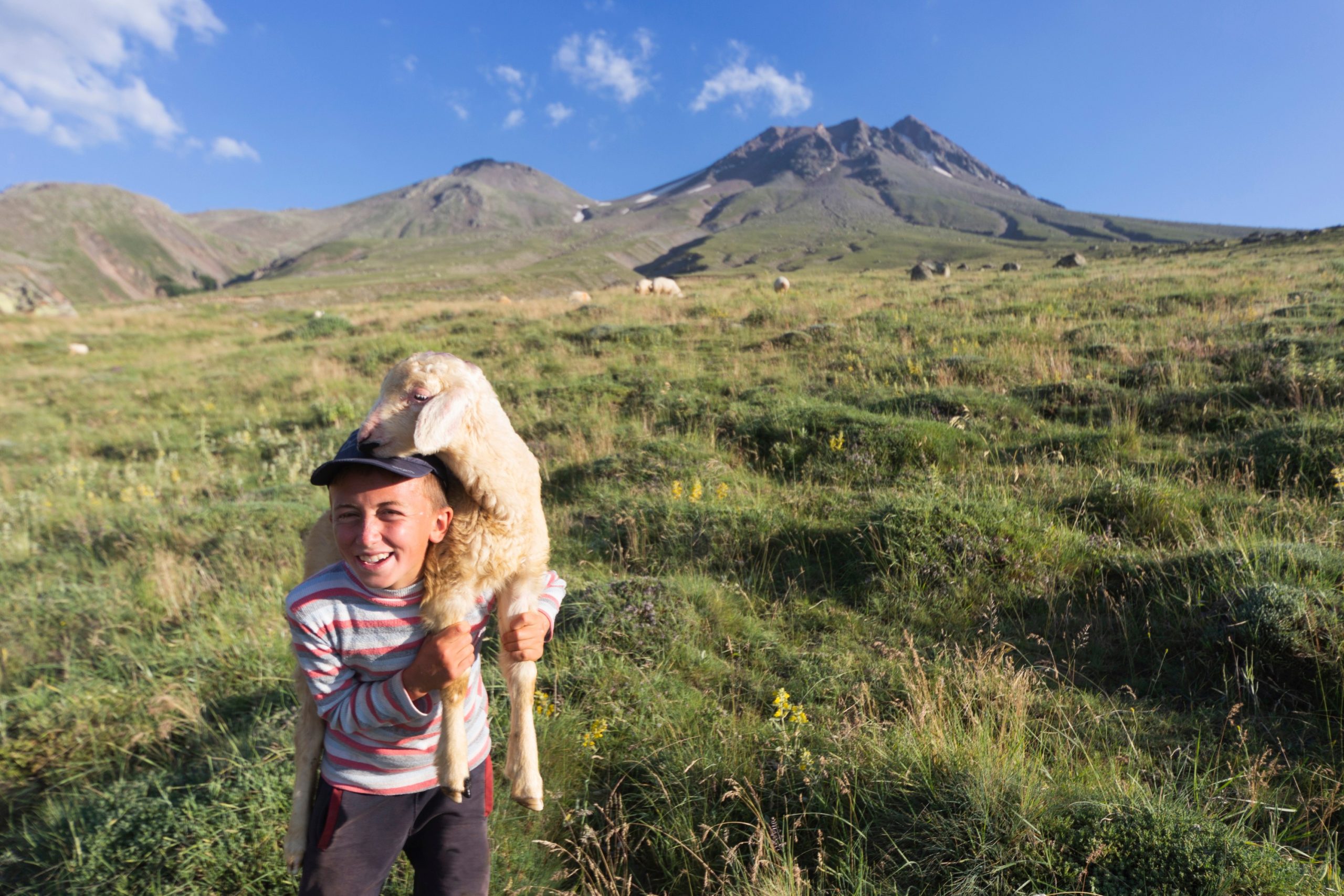 Grúzia, ahol majdnem elkapott a pásztorkutya